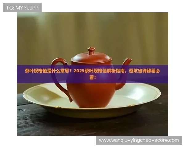 玩球看盘口用什么网避坑指南数字高频玩法防骗推荐